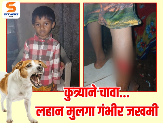 लचके तोडले….