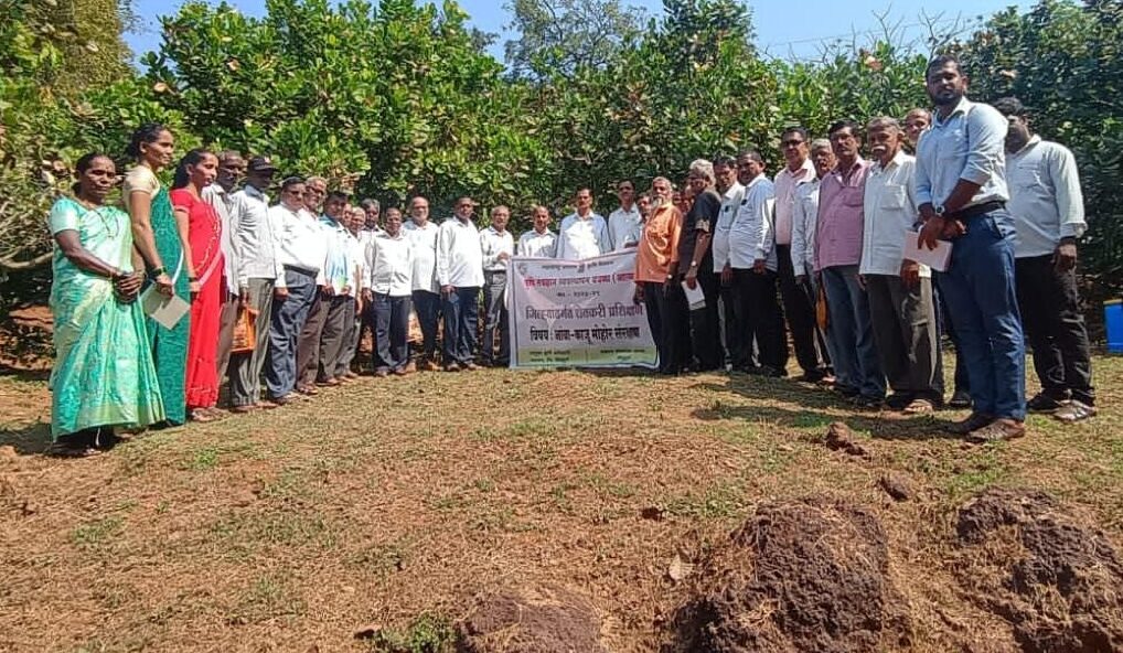गोळवण येथे काजू शेतीशाळा संपन्न