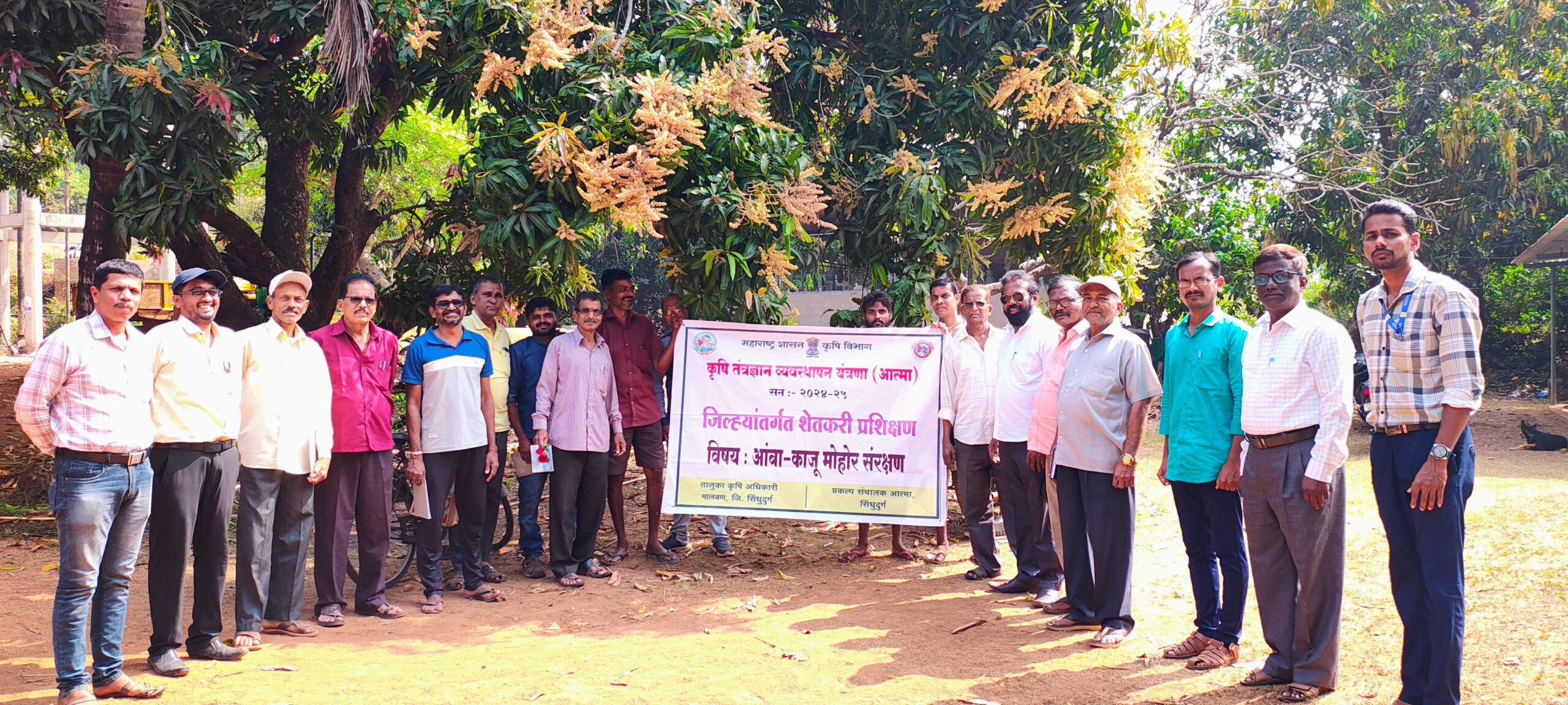 वायरी-मालवण येथे आंबा मोहोर संरक्षण कार्यक्रम