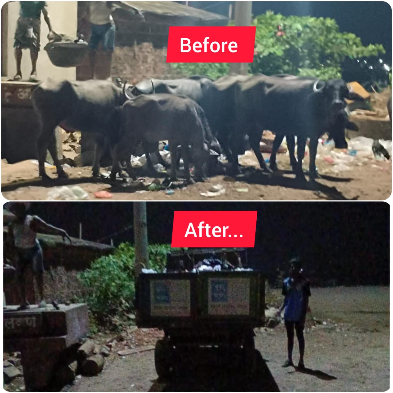 आमदार निलेश राणे यांच्या दणक्यानंतर नगरपरिषद प्रशासन ऍक्शन मोडवर