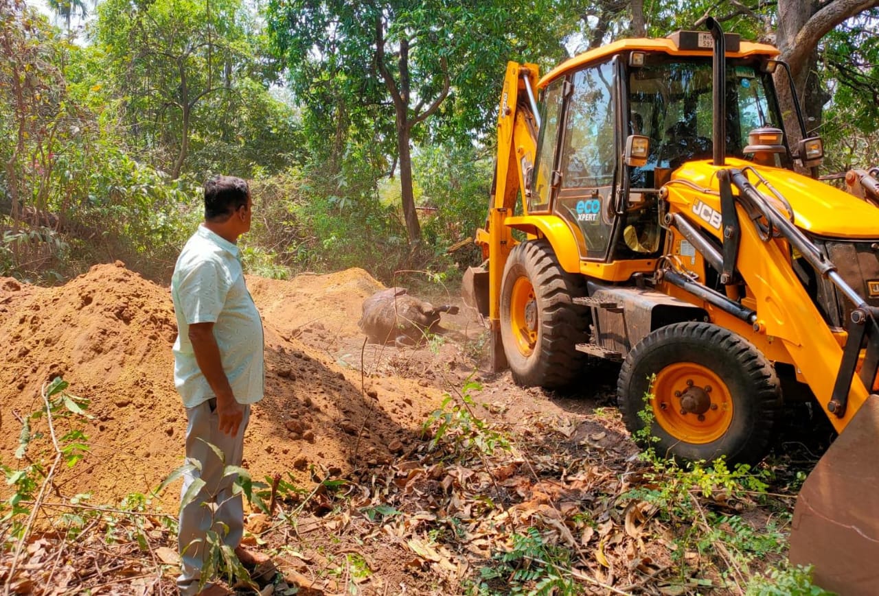 माजी नगरसेवक महेंद्र म्हाडगुत यांचे सामाजिक सेवाकार्य