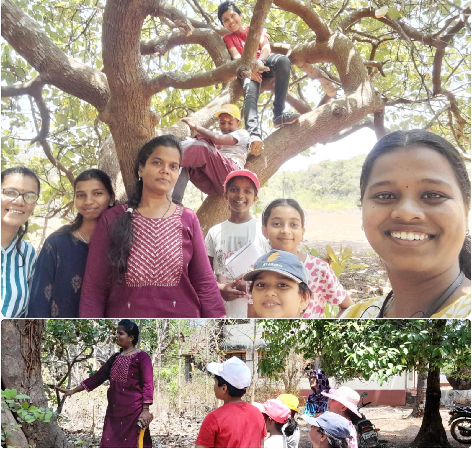 वनशक्ती आणि बॅ. बाळासाहेब खर्डेकर महाविद्यालय, वेंगुर्ला यांच्या संयुक्त विद्यमाने आयोजित उन्हाळी शिबिरास उत्साहात प्रारंभ
