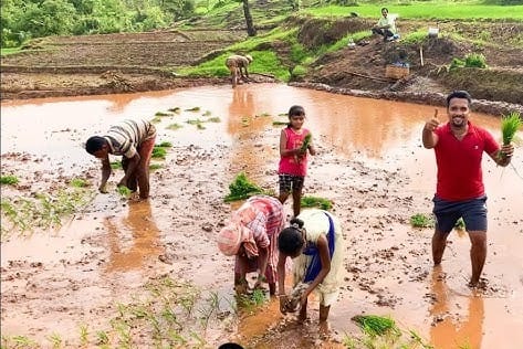 सिंधुदुर्गात भात लावणीला सुरुवात