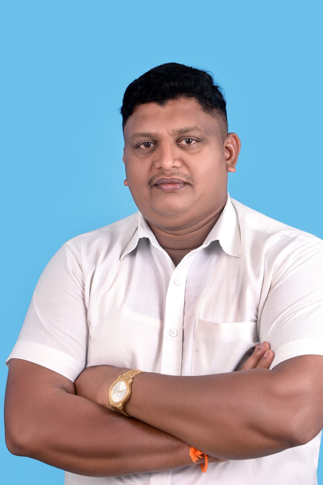 कुडाळमधील मोकाट जनावरांचा बंदोबस्त करा