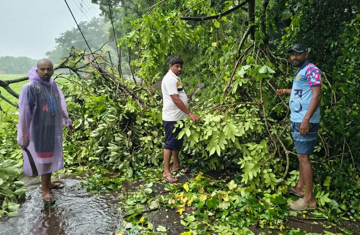 रेवताळे मडयेवाडा मार्गांवर झाड कोसळले