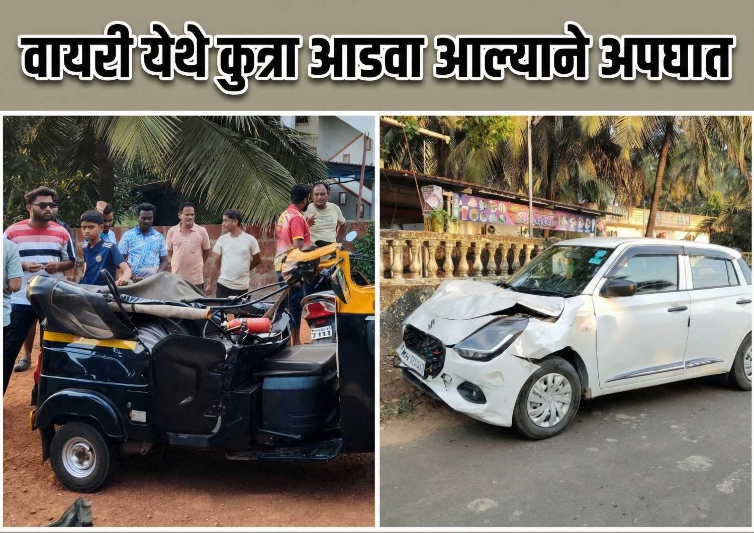 वायरी येथे कुत्रा आडवा आल्याने अपघात