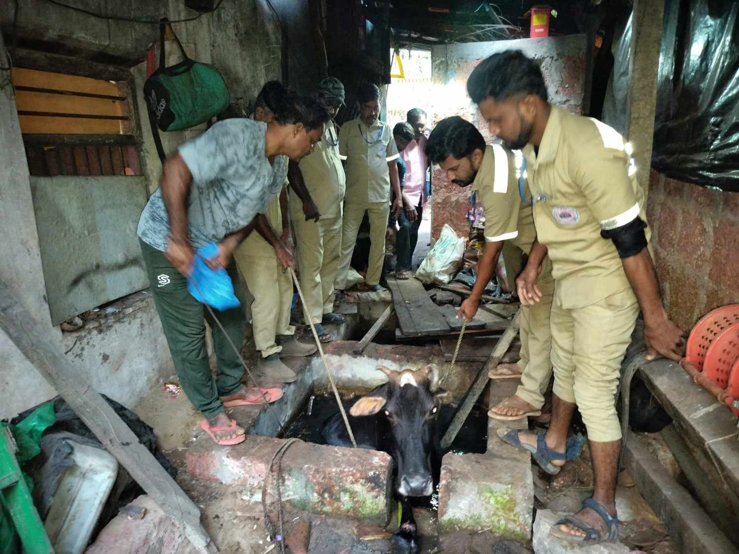 टाकीत पडलेल्या गोमातेला जीवदान