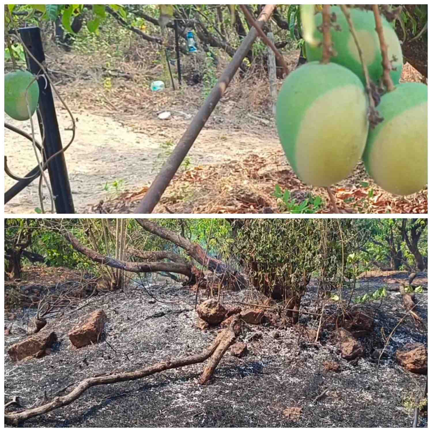 कांदळगाव येथे शॉर्टसर्किटमुळे भीषण आग