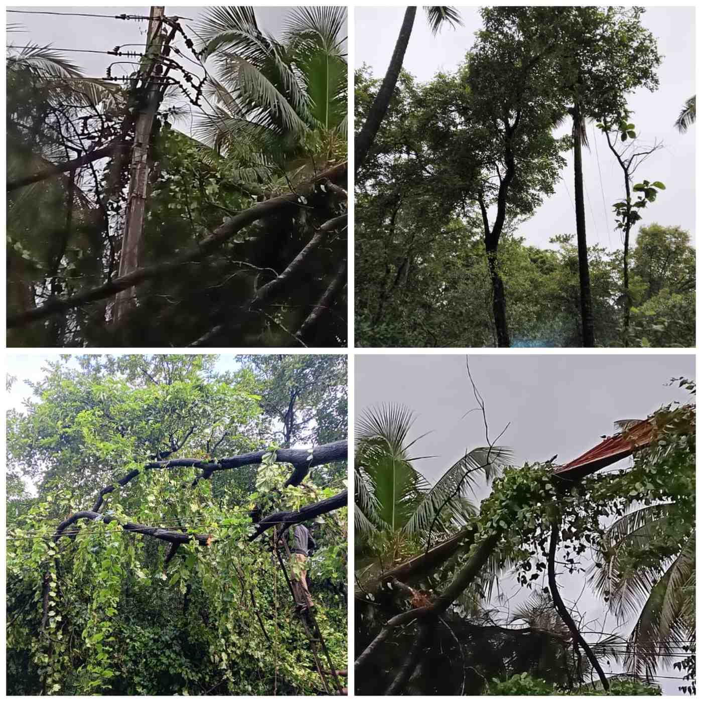 वादळ आणि पावसामुळे ६७ गावांमधील वीज पुरवठा बाधित...