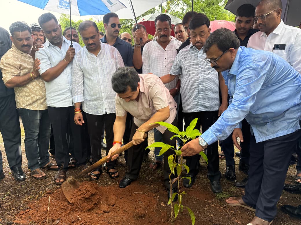 खासदार नारायण राणे यांच्या अमृत महोत्सवी वर्षानिमित्त हरकुळ बुद्रुकमध्ये वृक्षारोपण