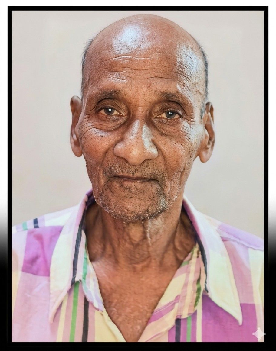 वसंत सोलकर यांचे निधन