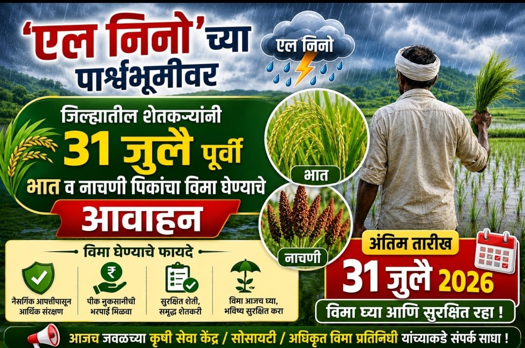 'एल निनो'च्या पार्श्वभूमीवर जिल्ह्यातील शेतकऱ्यांनी ३१ जुलै पूर्वी भात व नाचणी पिकांचा विमा घेण्याचे आवाहन.. 