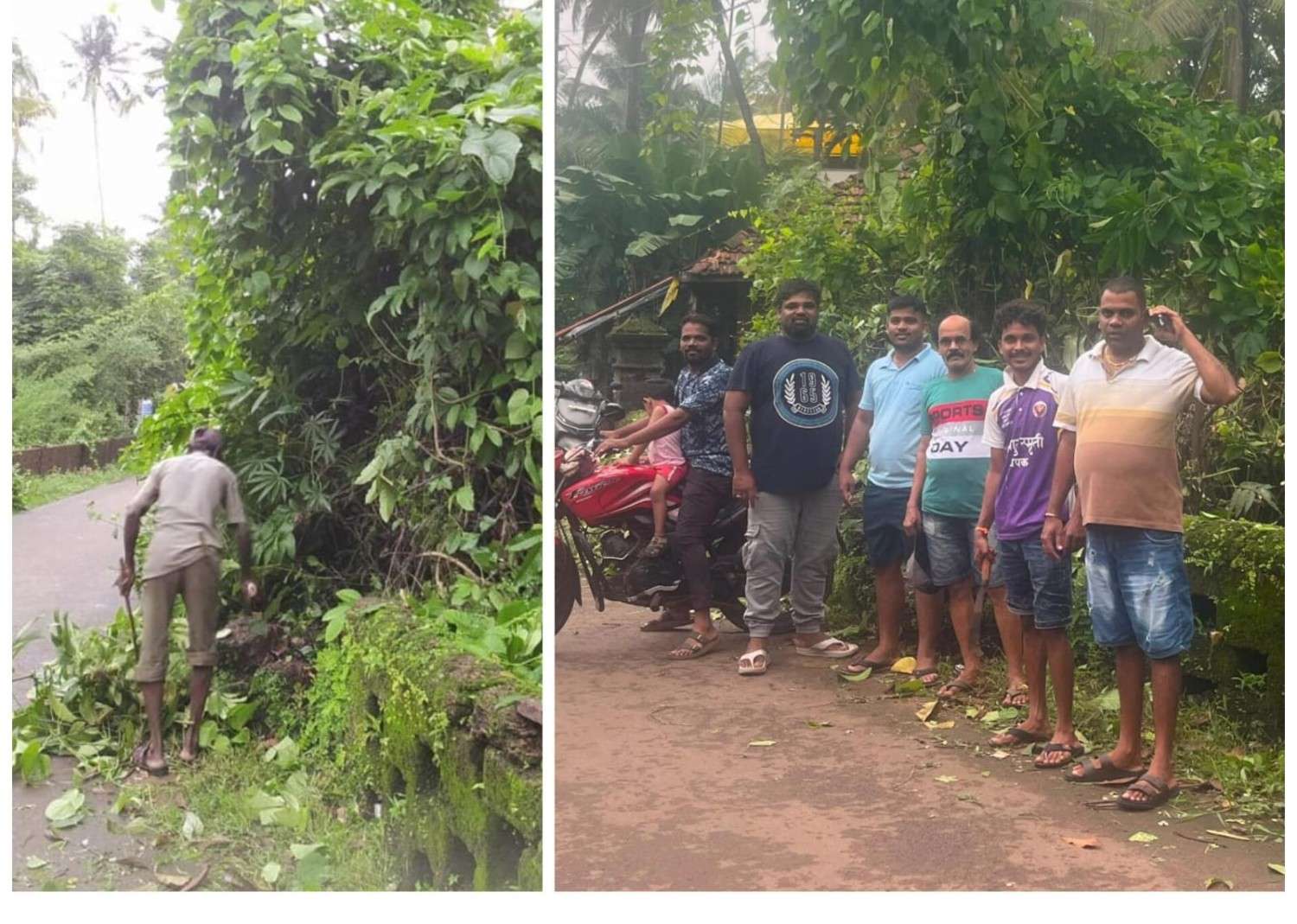 गवंडीवाडा-भरड मार्गावरील धोकादायक झाडी हटवली